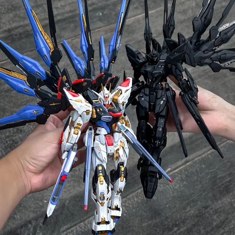 CHANGLONG Model 7701 MGEX ZGMF - огляд і ціна Model Kit Pg