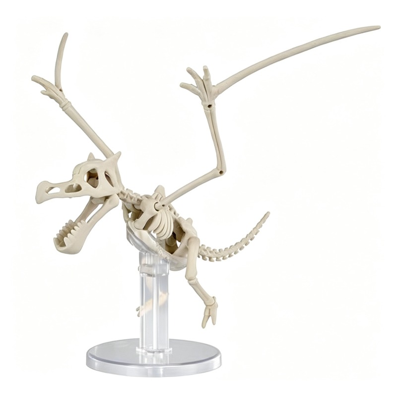 Bandai Pokemon Plastic Model D - огляд і ціна Model Kit Rayquaza